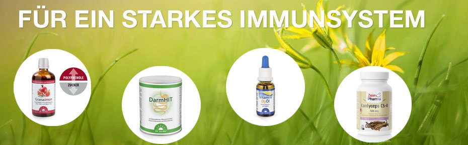 Banner 6 - Immunsystem