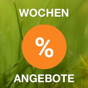 Banner 7 - Wochenangebote