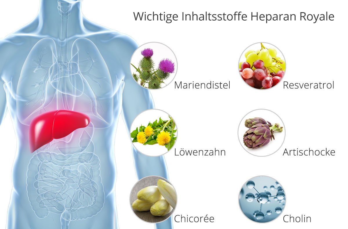 Heparan Royale fr die Leber - 90 Kapseln