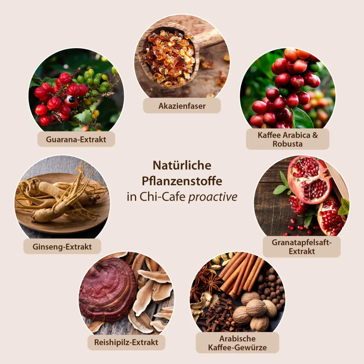 Chi-Cafe proactive 360g