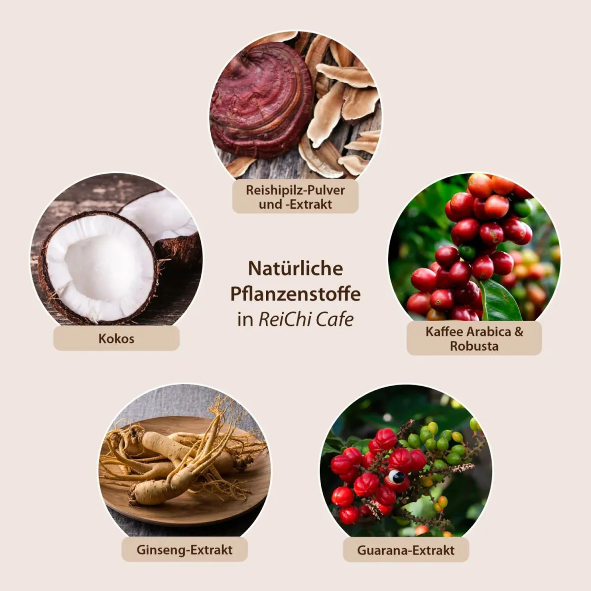 Muster ReiChi Zen Cafe