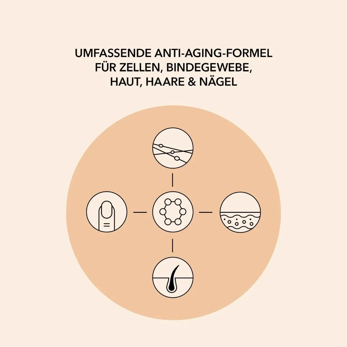 Spermidin Kollagen Komplex - 30 Sachets