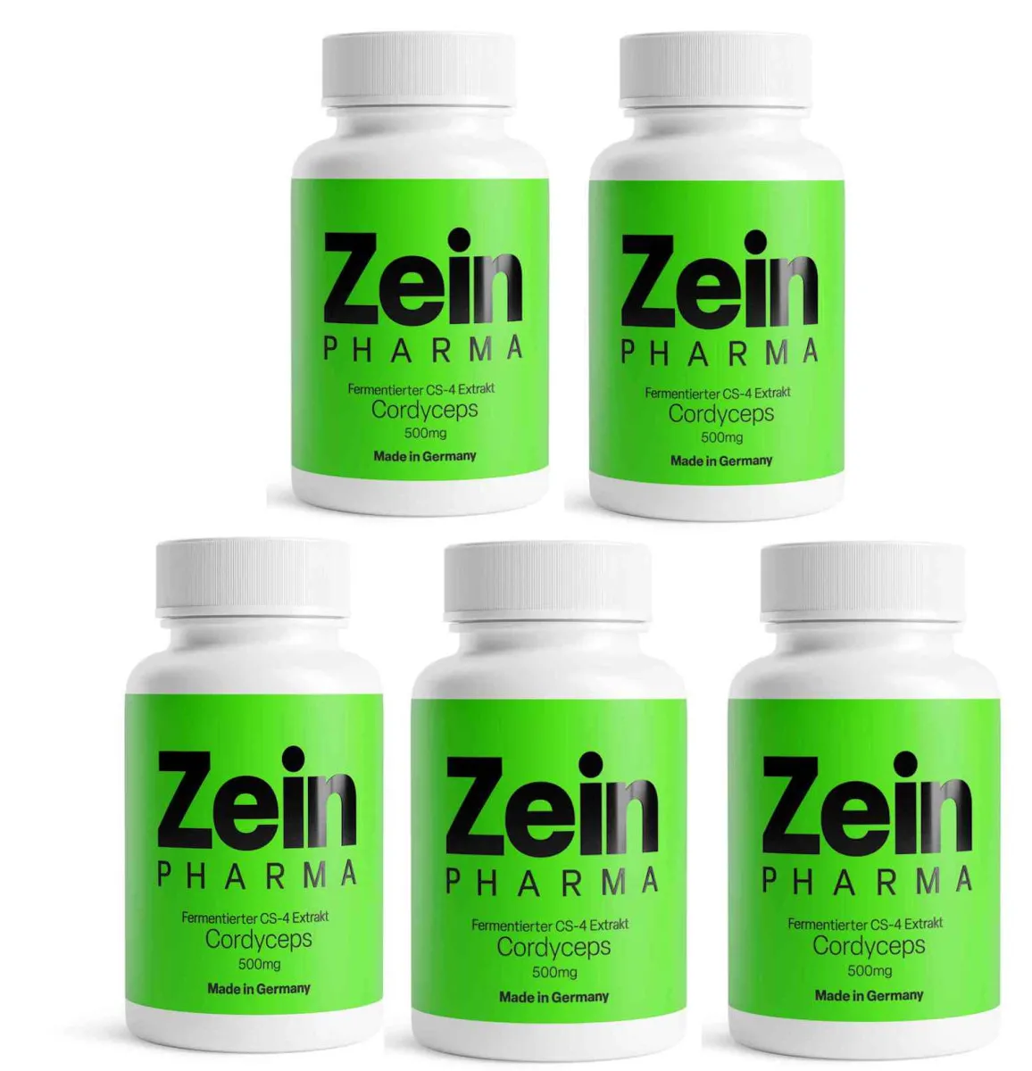 5x Cordyceps CS-4 120 Kapseln 500mg