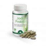 Dr. Jacobs Jod-Probio 90 Kapseln