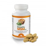 Boswellia MSM forte - 90 Tabletten