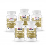 5x Cordyceps CS-4  120 Kapseln 500mg